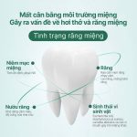 XỊT THƠM MIỆNG PHYTOCARE HƯƠNG THẢO MỘC DỊU NHẸ GIẢM NHIỆT MIỆNG ĐAU HỌNG